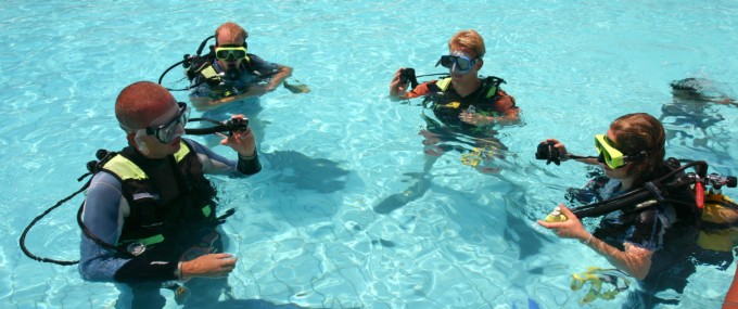 Easy Dive Booking : la meilleure expérience sous-marine